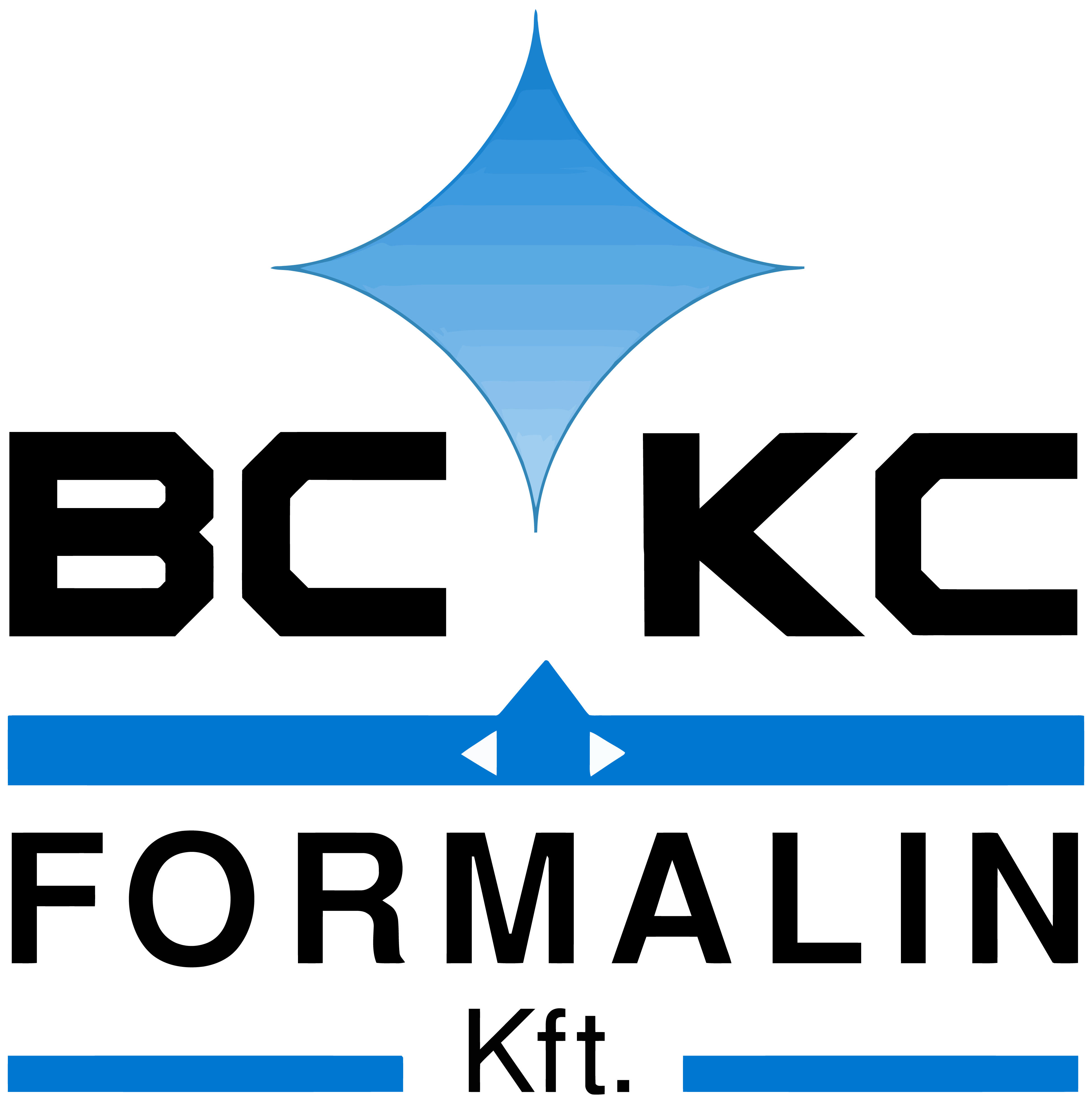 BC-KC Formalin Kft. logo